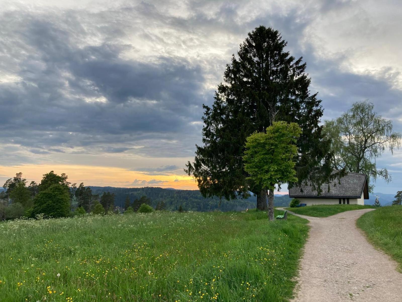 Haus Hanni โฮเคนชวันด์ ภายนอก รูปภาพ